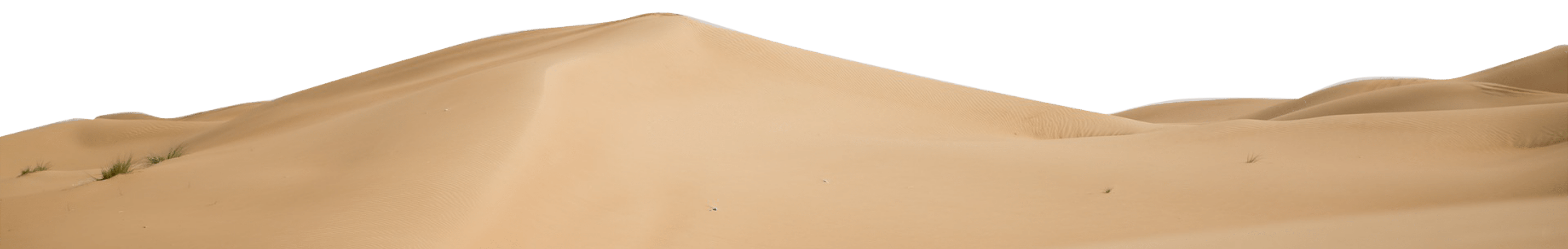 cropped Dunes background 3